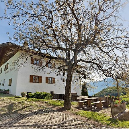 Moar Im Rumsein - Apt Saltenblick Terlano Esterno foto